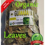 Hojas de Guanabana, hojas de Annona ::  Tea Grade Graviola Soursop, Leaves Annona muricata Leaf
